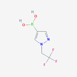 molecular formula C5H6BF3N2O2 B3238740 Boronic acid, B-[1-(2,2,2-trifluoroethyl)-1H-pyrazol-4-yl]- CAS No. 1416786-60-1
