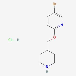 molecular formula C11H16BrClN2O B3238915 5-Bromo-2-(piperidin-4-ylmethoxy)pyridine hydrochloride CAS No. 1417793-67-9