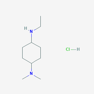 N1-ethyl-N4,N4-dimethylcyclohexane-1,4-diamine hydrochloride
