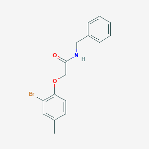 molecular formula C16H16BrNO2 B324008 N-benzyl-2-(2-bromo-4-methylphenoxy)acetamide 