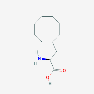 molecular formula C11H21NO2 B3240238 (S)-2-amino-3-cyclooctylpropanoic acid CAS No. 1429396-04-2