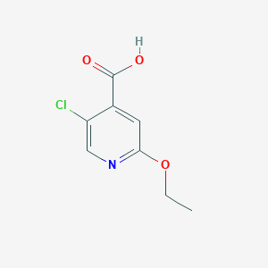 molecular formula C8H8ClNO3 B3243770 5-Chloro-2-ethoxypyridine-4-carboxylic acid CAS No. 1593360-08-7
