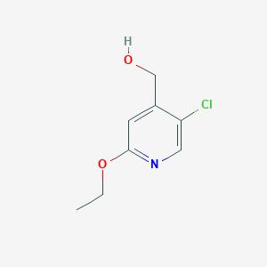 molecular formula C8H10ClNO2 B3243823 (5-Chloro-2-ethoxypyridin-4-yl)methanol CAS No. 1595902-11-6