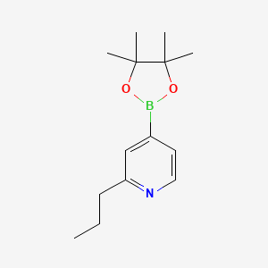 molecular formula C14H22BNO2 B3243833 2-Propyl-4-(4,4,5,5-tetramethyl-1,3,2-dioxaborolan-2-yl)pyridine CAS No. 1596367-25-7
