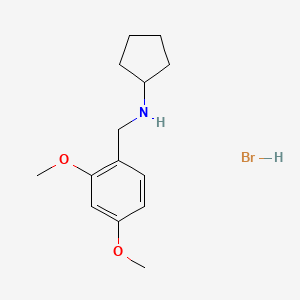 molecular formula C14H22BrNO2 B3244100 N-(2,4-Dimethoxybenzyl)cyclopentanamine hydrobromide CAS No. 1609400-15-8