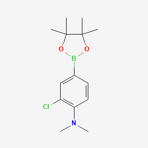 molecular formula C14H21BClNO2 B3244297 2-Chloro-N,N-dimethyl-4-(4,4,5,5-tetramethyl-1,3,2-dioxaborolan-2-yl)aniline CAS No. 1613259-65-6