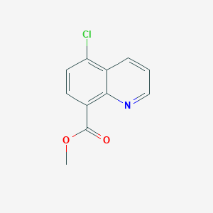 molecular formula C11H8ClNO2 B3244518 Methyl 5-chloroquinoline-8-carboxylate CAS No. 16220-22-7