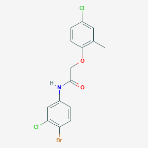 molecular formula C15H12BrCl2NO2 B324498 N-(4-bromo-3-chlorophenyl)-2-(4-chloro-2-methylphenoxy)acetamide 