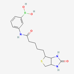 molecular formula C16H22BN3O4S B3245129 Biotinyl-phenylboronic acid CAS No. 1661014-48-7