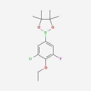molecular formula C14H19BClFO3 B3245193 3-氯-4-乙氧基-5-氟苯基硼酸频哪醇酯 CAS No. 1668474-08-5