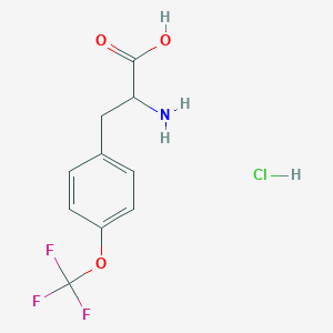 molecular formula C10H11ClF3NO3 B3246074 2-Amino-3-[4-(trifluoromethoxy)phenyl]propanoic acid hydrochloride CAS No. 174732-77-5