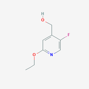 molecular formula C8H10FNO2 B3247197 (2-Ethoxy-5-fluoropyridin-4-yl)methanol CAS No. 1809158-12-0