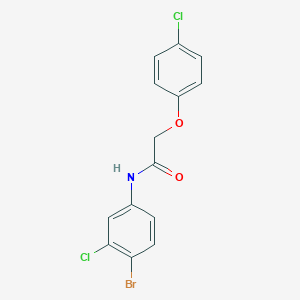 molecular formula C14H10BrCl2NO2 B324777 N-(4-bromo-3-chlorophenyl)-2-(4-chlorophenoxy)acetamide 
