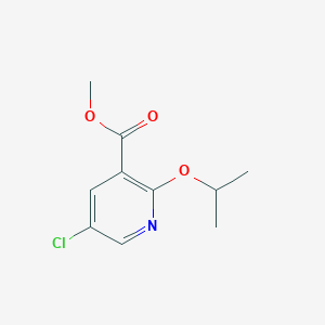 molecular formula C10H12ClNO3 B3247996 5-氯-2-(丙-2-氧基)吡啶-3-甲酸甲酯 CAS No. 1826110-05-7