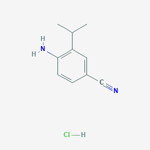 molecular formula C10H13ClN2 B3248179 4-Amino-3-propan-2-ylbenzonitrile;hydrochloride CAS No. 184163-18-6