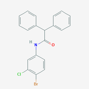 molecular formula C20H15BrClNO B324832 N-(4-bromo-3-chlorophenyl)-2,2-diphenylacetamide 