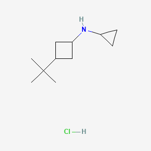 3-tert-butyl-N-cyclopropylcyclobutan-1-amine hydrochloride