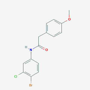 molecular formula C15H13BrClNO2 B324972 N-(4-bromo-3-chlorophenyl)-2-(4-methoxyphenyl)acetamide 
