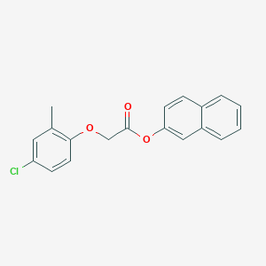 molecular formula C19H15ClO3 B325031 2-Naphthyl (4-chloro-2-methylphenoxy)acetate 