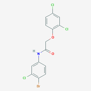 molecular formula C14H9BrCl3NO2 B325045 N-(4-bromo-3-chlorophenyl)-2-(2,4-dichlorophenoxy)acetamide 