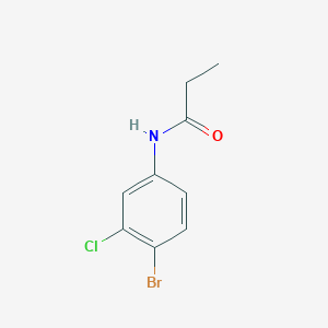 molecular formula C9H9BrClNO B325109 N-(4-bromo-3-chlorophenyl)propanamide 