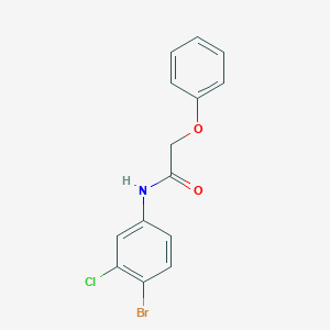 molecular formula C14H11BrClNO2 B325155 N-(4-bromo-3-chlorophenyl)-2-phenoxyacetamide 