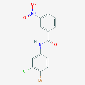 molecular formula C13H8BrClN2O3 B325211 N-(4-bromo-3-chlorophenyl)-3-nitrobenzamide 