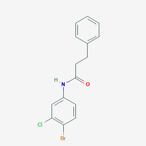 molecular formula C15H13BrClNO B325223 N-(4-bromo-3-chlorophenyl)-3-phenylpropanamide 