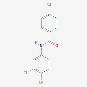 molecular formula C13H8BrCl2NO B325248 N-(4-bromo-3-chlorophenyl)-4-chlorobenzamide 