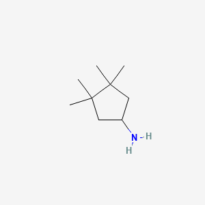 molecular formula C9H19N B3253741 3,3,4,4-Tetramethylcyclopentanamine CAS No. 226548-31-8
