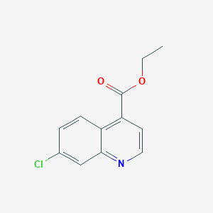 molecular formula C12H10ClNO2 B3253810 Ethyl 7-chloroquinoline-4-carboxylate CAS No. 227453-42-1