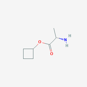 molecular formula C7H13NO2 B3255964 L-Alanine, cyclobutyl ester (9CI) CAS No. 261909-84-6