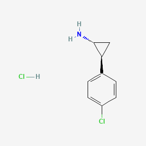 molecular formula C9H11Cl2N B3256210 Trans-2-(4-chlorophenyl)cyclopropanamine hydrochloride CAS No. 26568-25-2