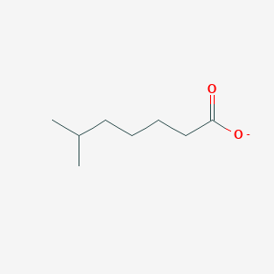 molecular formula C8H15O2- B3257691 6-Methylheptanoate CAS No. 29355-14-4