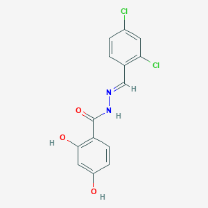 molecular formula C14H10Cl2N2O3 B325985 N'-(2,4-dichlorobenzylidene)-2,4-dihydroxybenzohydrazide CAS No. 304481-56-9
