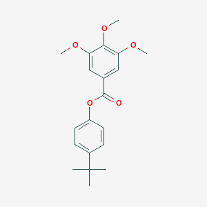 molecular formula C20H24O5 B326005 4-Tert-butylphenyl 3,4,5-trimethoxybenzoate 