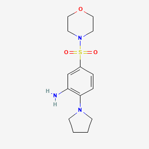molecular formula C14H21N3O3S B3260210 5-(吗啉-4-磺酰基)-2-吡咯烷-1-基苯胺 CAS No. 328106-72-5