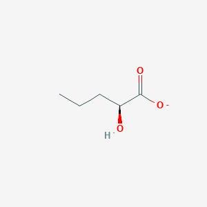 (2S)-2-hydroxypentanoate