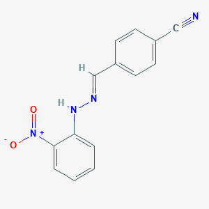 molecular formula C14H10N4O2 B326145 4-{(E)-[2-(2-nitrophenyl)hydrazinylidene]methyl}benzonitrile 