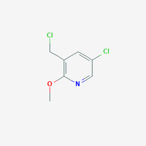 molecular formula C7H7Cl2NO B3262076 5-Chloro-3-(chloromethyl)-2-methoxypyridine CAS No. 351410-53-2