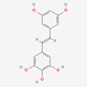 molecular formula C14H12O5 B3262101 5-[(E)-2-(3,5-dihydroxyphenyl)ethenyl]benzene-1,2,3-triol CAS No. 35154-48-4