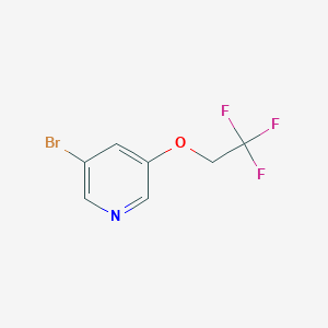 molecular formula C7H5BrF3NO B3263273 3-Bromo-5-(2,2,2-trifluoroethoxy)pyridine CAS No. 370879-86-0
