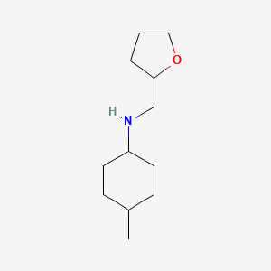 molecular formula C12H23NO B3267806 4-methyl-N-(oxolan-2-ylmethyl)cyclohexan-1-amine CAS No. 467444-21-9