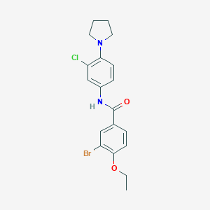 molecular formula C19H20BrClN2O2 B326975 3-bromo-N-[3-chloro-4-(pyrrolidin-1-yl)phenyl]-4-ethoxybenzamide 