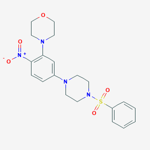 molecular formula C20H24N4O5S B327062 4-(3-Morpholin-4-yl-4-nitrophenyl)-1-(phenylsulfonyl)piperazine 
