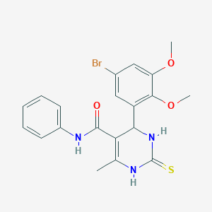 molecular formula C20H20BrN3O3S B327140 4-(5-bromo-2,3-dimethoxyphenyl)-6-methyl-N-phenyl-2-thioxo-1,2,3,4-tetrahydro-5-pyrimidinecarboxamide 