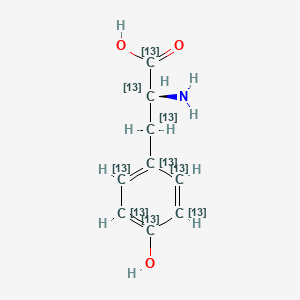 molecular formula C9H11NO3 B3271782 L-Tyrosine-13C9 CAS No. 55443-60-2
