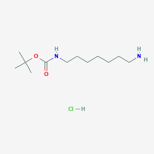 B3275219 tert-Butyl (7-aminoheptyl)carbamate hydrochloride CAS No. 62146-57-0