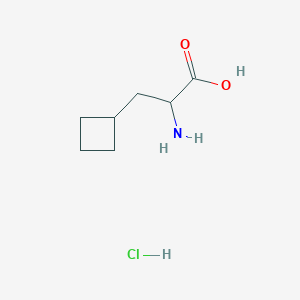 molecular formula C7H14ClNO2 B3278625 2-氨基-3-环丁基丙酸盐酸盐 CAS No. 681128-35-8