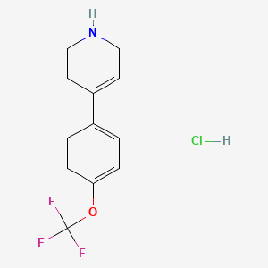 molecular formula C12H13ClF3NO B3278725 4-(4-(Trifluoromethoxy)phenyl)-1,2,3,6-tetrahydropyridine hydrochloride CAS No. 681508-64-5